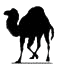 The Perl Camel